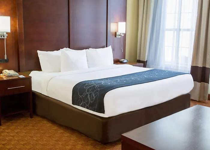 Comfort Worth North Fossil Creek 4*